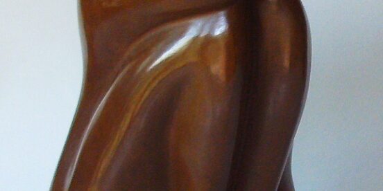 Re-su-Soi-Bronz-pati-brune-face-1