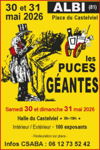 Puces géantes Albi 2026