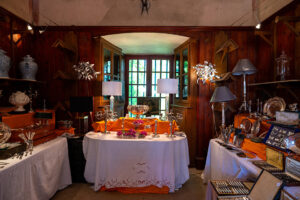 Salon des curiosités Ainay